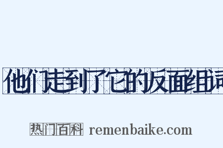 他们走到了它的反面组词是什么意思的图片